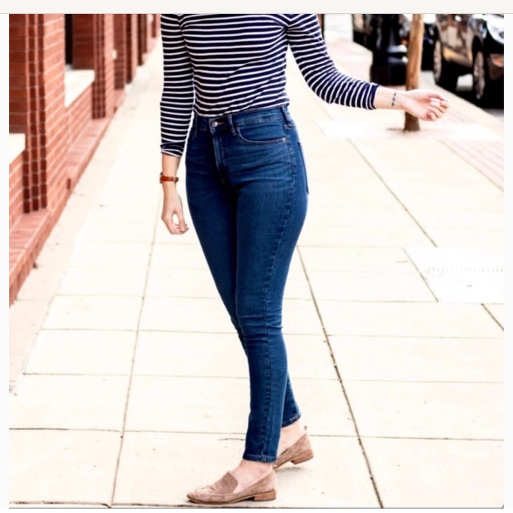 Everlane The Curvy High Rise Skinny Jean Dark Wash